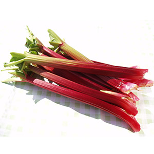 Rhubarb Cherry Red, Grower Direct, Te Puna